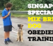 Singapore Special Dog Training